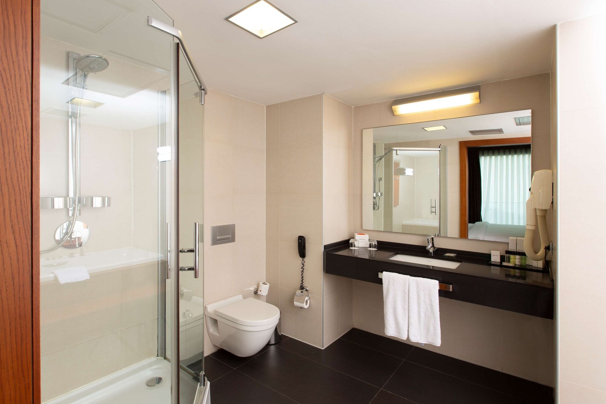 Nippon Hotel Suite. 4