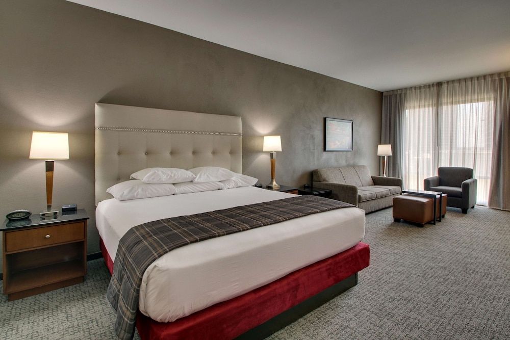 Deluxe Room, 1 King Bed with Sofa bed, Accessible, Refrigerator & Microwave (Roll in Shower)