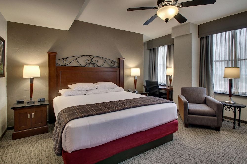 Deluxe Room, 1 King Bed, Accessible, Refrigerator & Microwave (Tub)