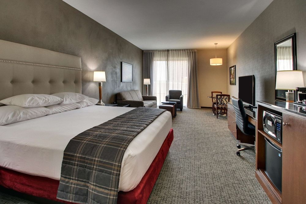 Deluxe Room, 1 King Bed with Sofa bed, Accessible, Refrigerator & Microwave (Roll in Shower)
