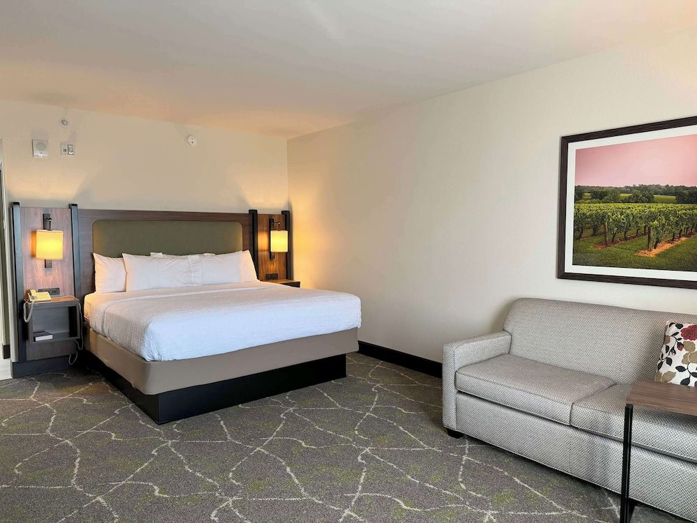 Room, 1 King Bed, Accessible (Mobility & Hearing, 3x3 Shower)