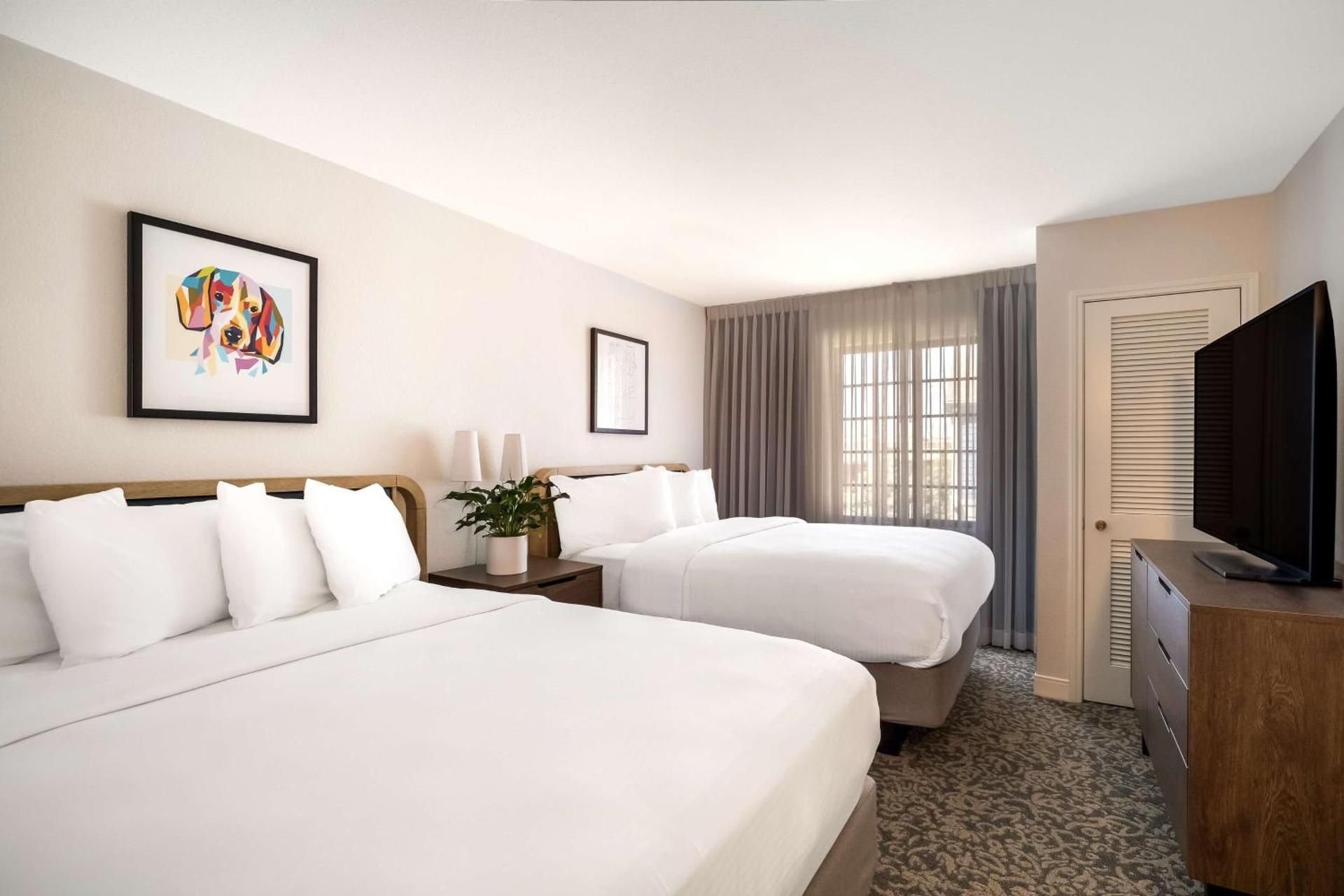One Bedroom Suite Two Doubles