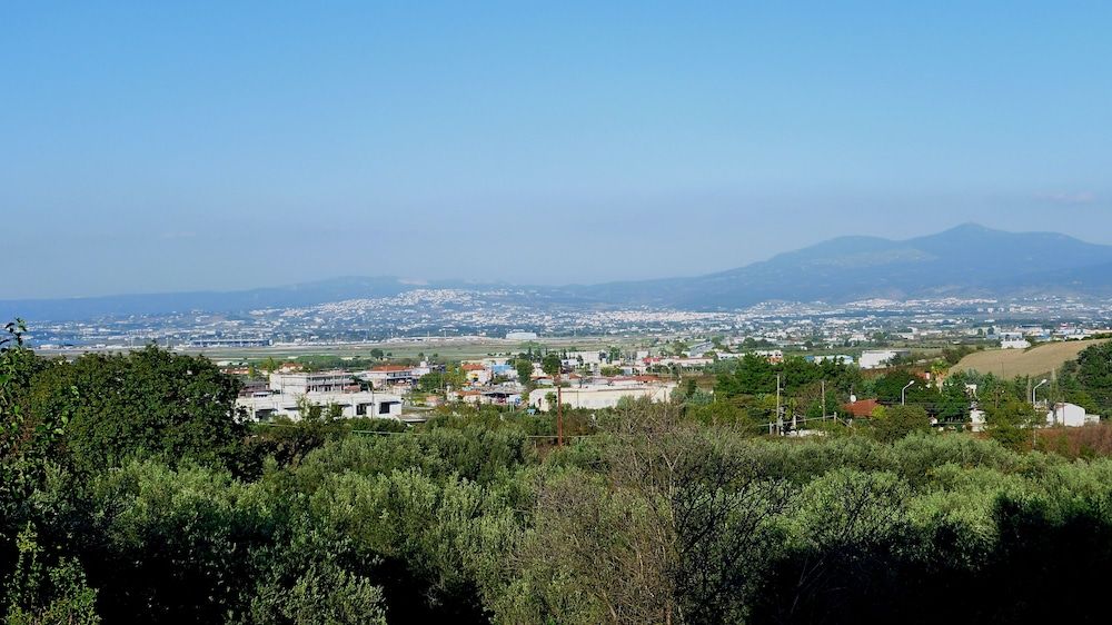 Ambassador Hotel Thessaloniki Single Room 8