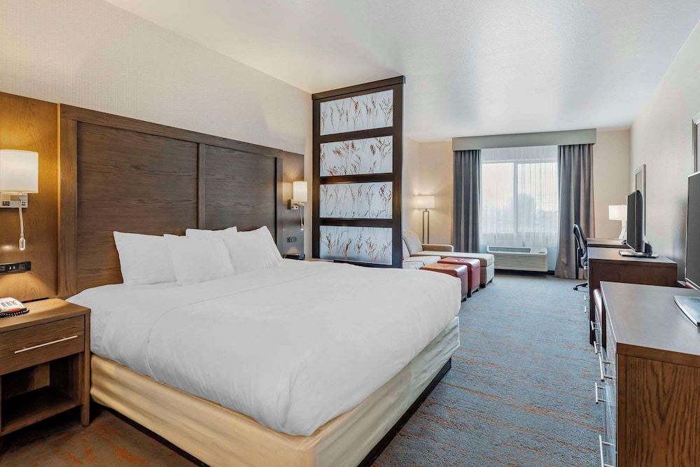 Suite, 1 King Bed with Sofa bed, Accessible, Non Smoking