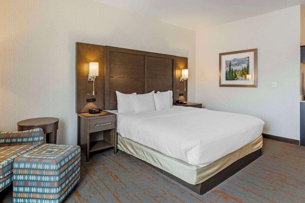 Room, 1 King Bed, Accessible, Non Smoking
