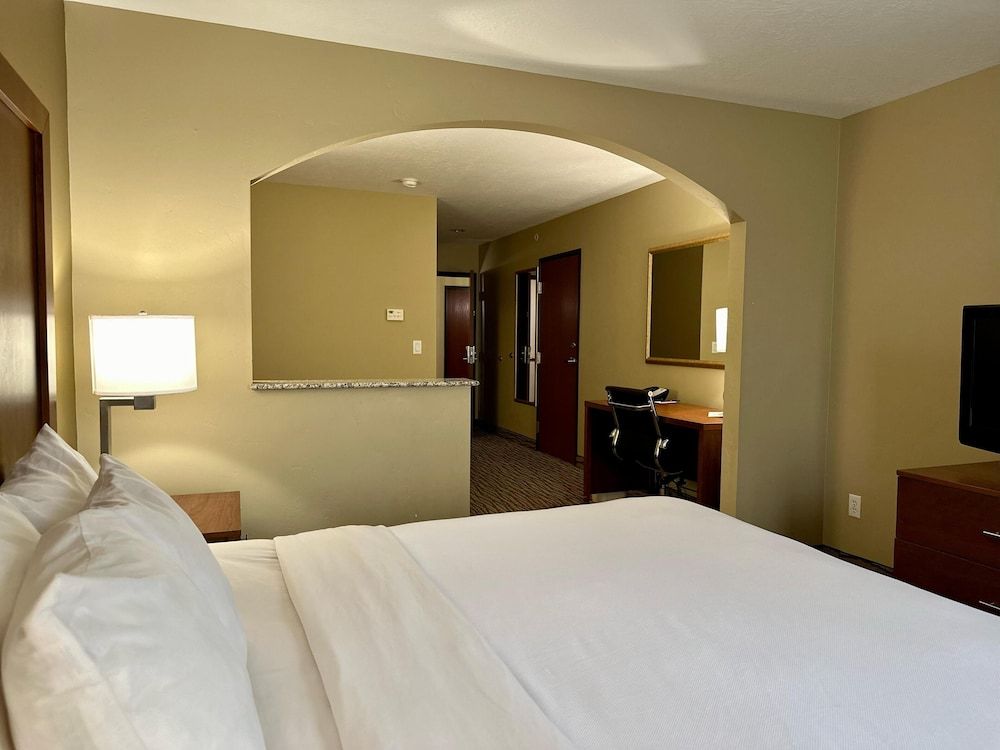 Suite, 1 King Bed with Sofa bed, Non Smoking