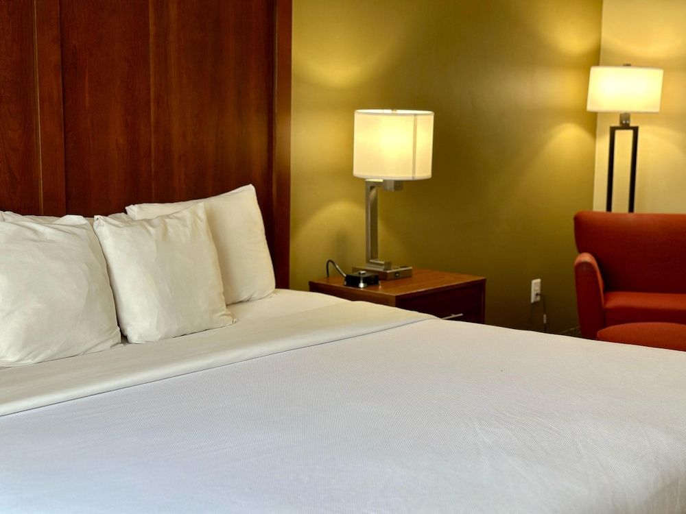 Standard Room, 1 King Bed, Non Smoking (No pets)