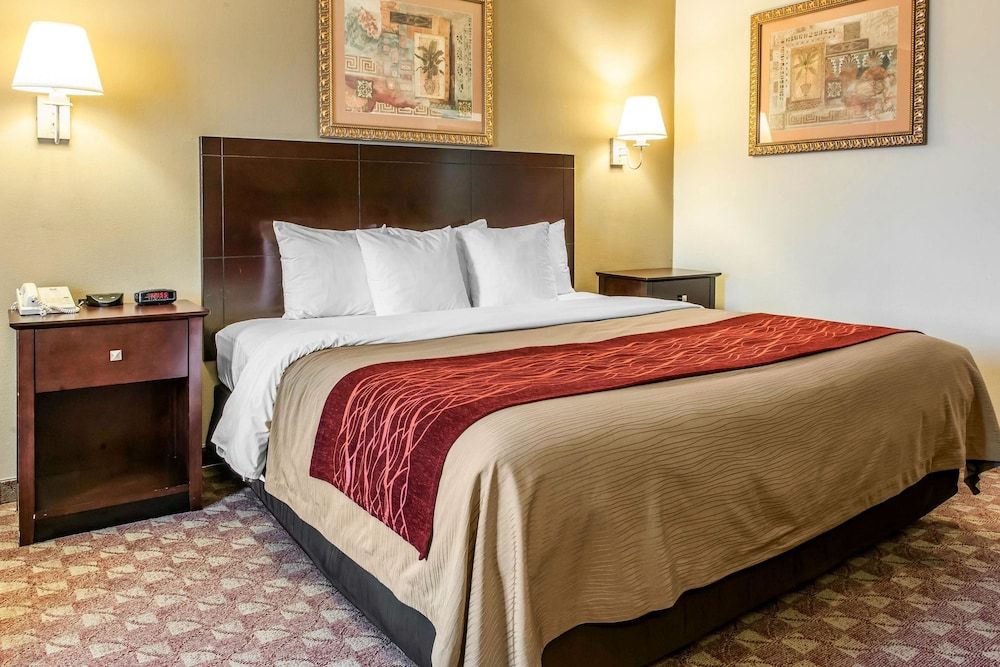 Standard Room, 1 King Bed, Non Smoking