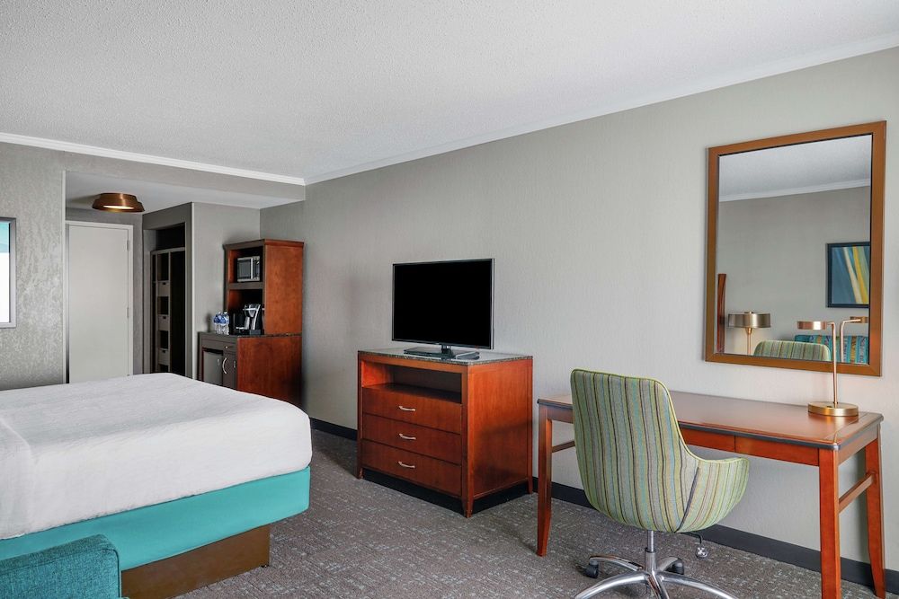 Room, 1 King Bed with Sofa bed