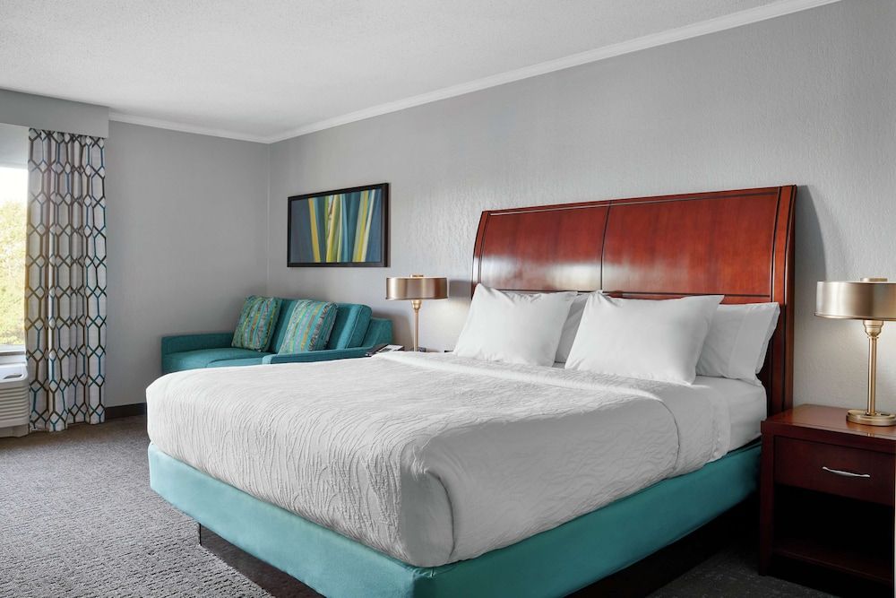 Room, 1 King Bed with Sofa bed