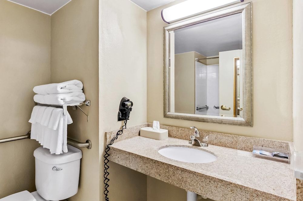 Room, 1 King Bed, Non Smoking (Pet Friendly)