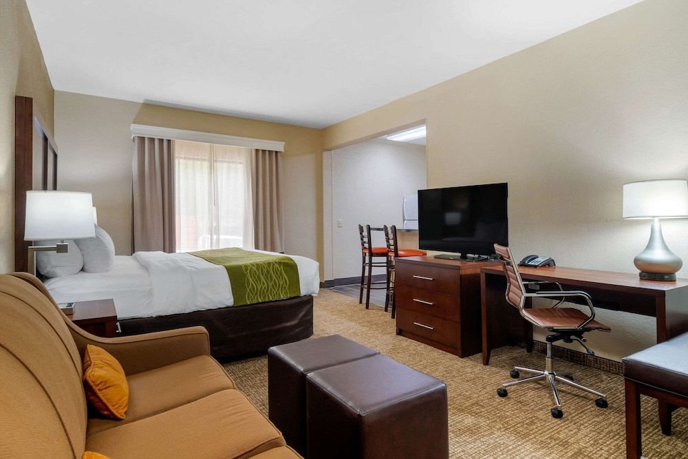 Suite, 1 King Bed with Sofa bed, Non Smoking (Efficiency)