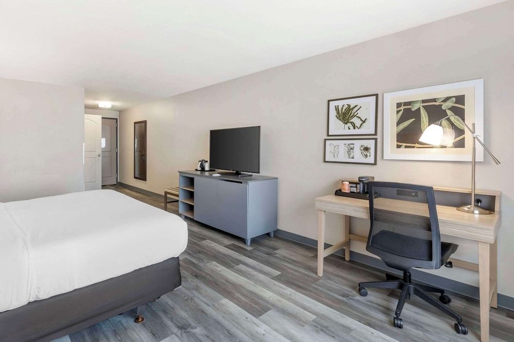 Room, 1 King Bed, Accessible, Non Smoking