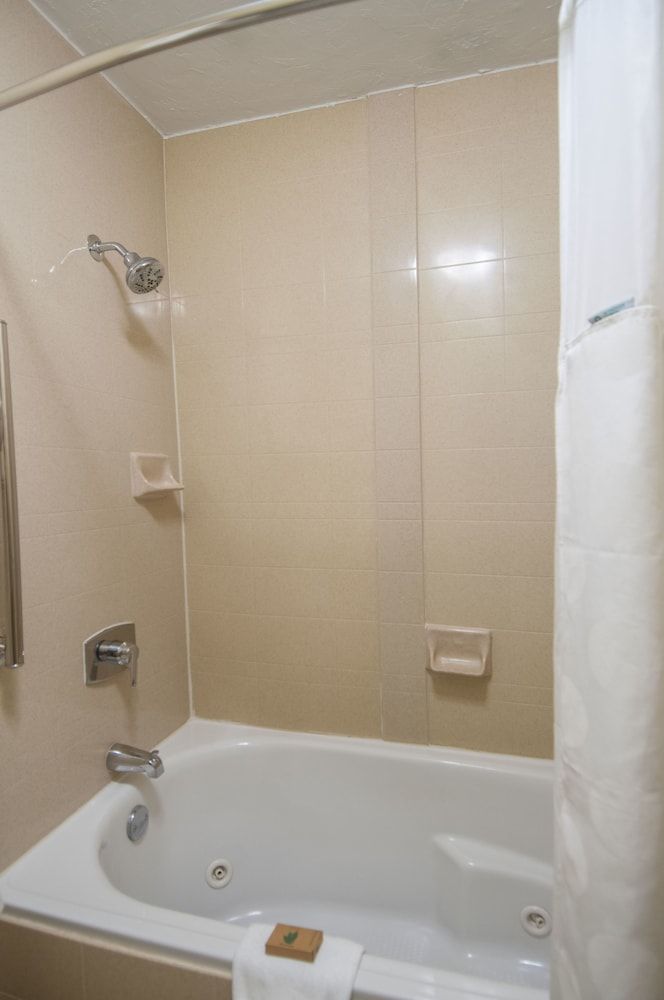 Executive Suite, 1 King Bed with Sofa bed