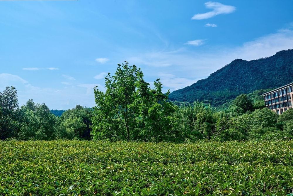 InterContinental One Thousand Island Lake Resort by IHG Classic Room 7