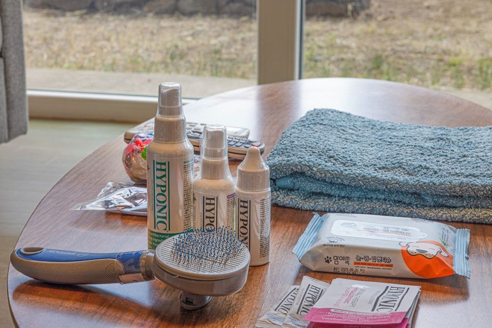 Phoenix Island Royal Room (Pet-Friendly) 2