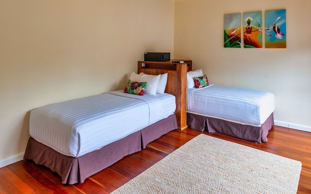Nepenthes Suite Twin