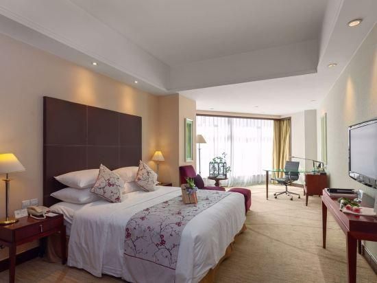 Double Room with Air Purifier