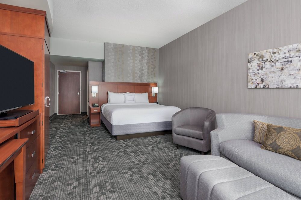 Room, 1 King Bed with Sofa bed