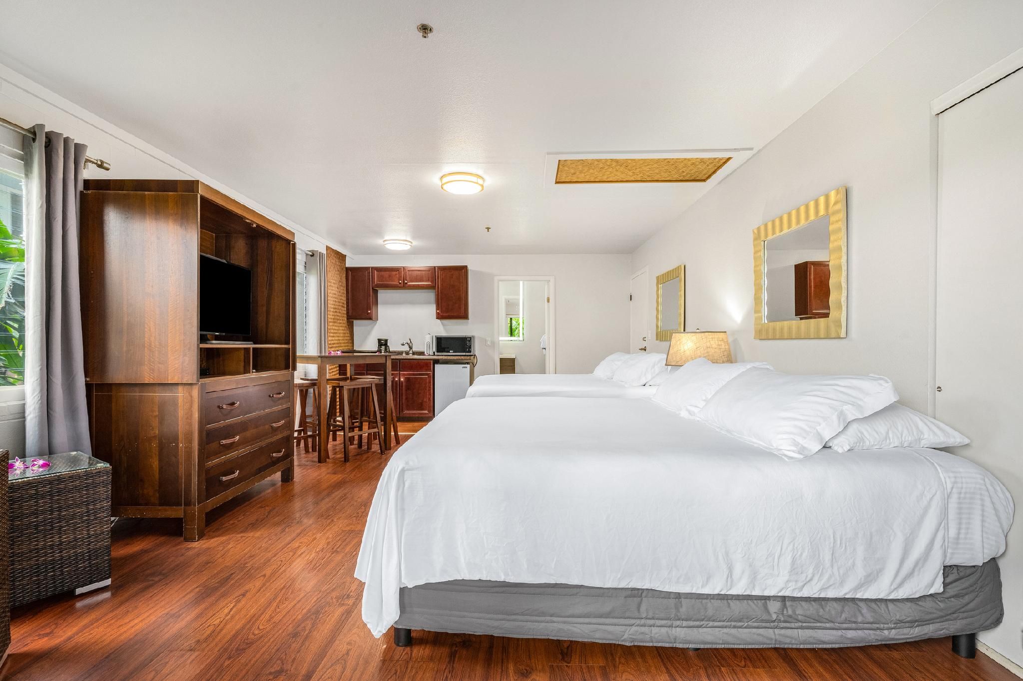 Studio Suite View (2 King Beds)