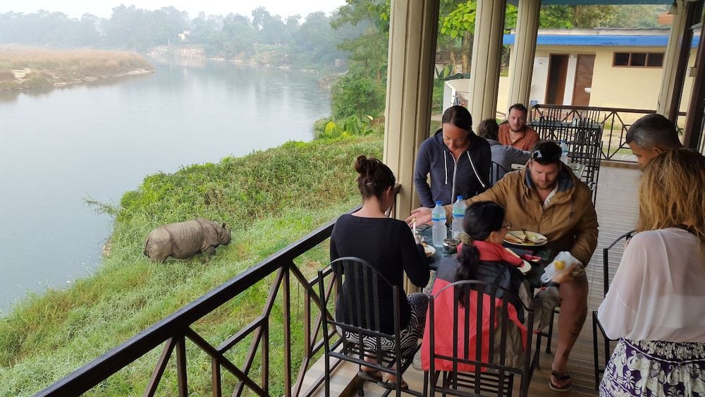 undefined Jungle Wildlife Camp 6