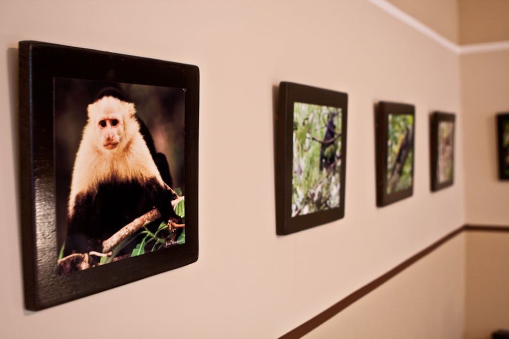 Manglar Lodge Deluxe Room, 1 King Bed 14