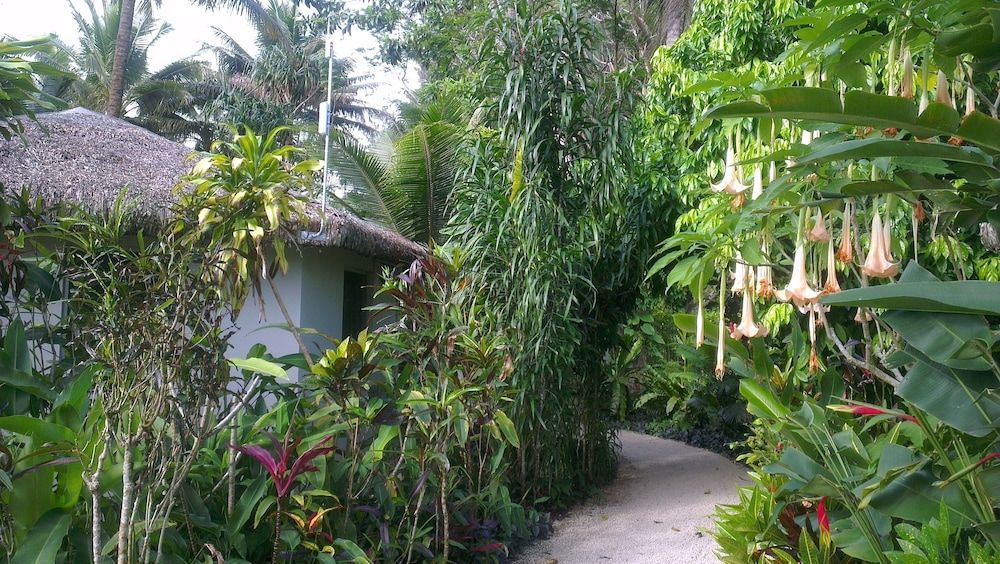 Lagoon Gardens Basic Bungalow, 1 Queen Bed with Sofa bed, Garden View 9