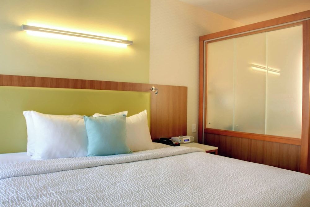 Suite, 1 King Bed with Sofa bed (Hearing Accessible)