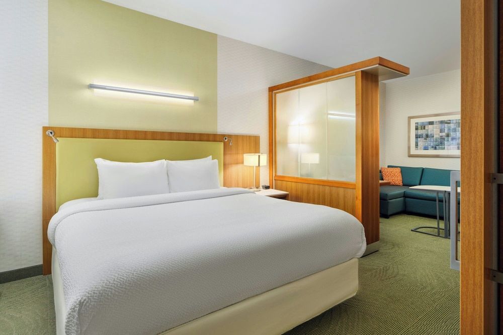 Suite, 1 King Bed with Sofa bed, Non Smoking