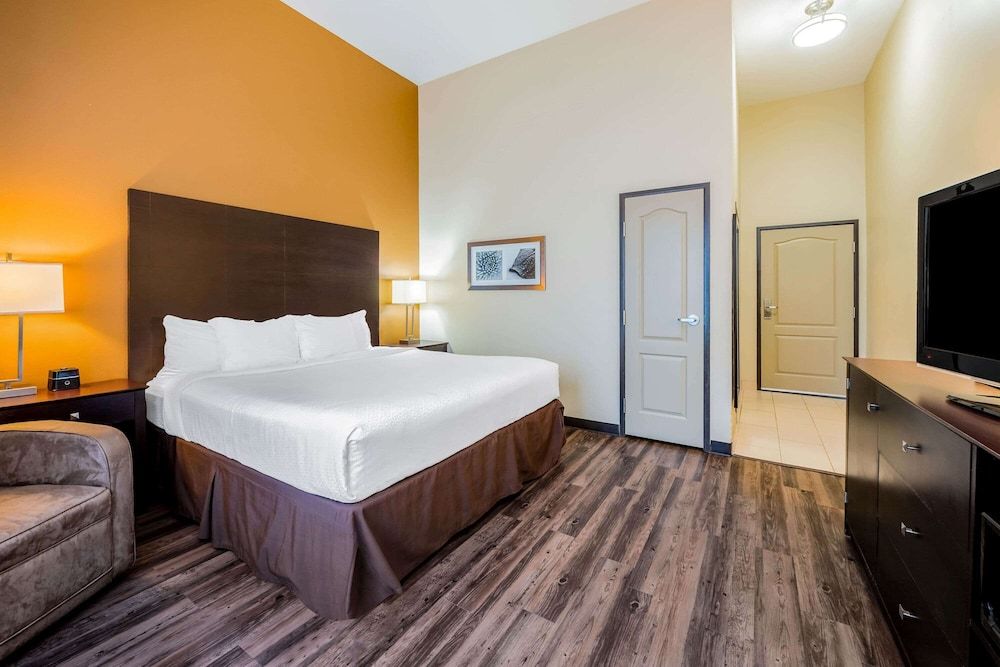 Room, 1 King Bed