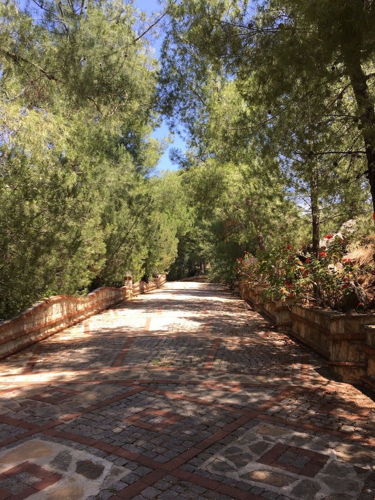 undefined Villa Symbola 10