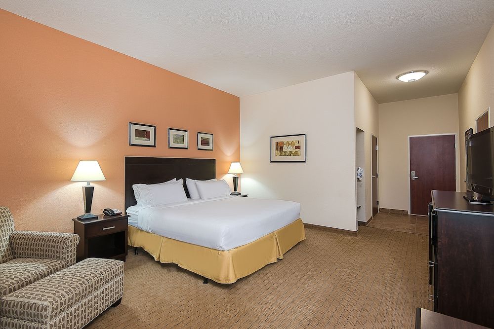 Room, 1 King Bed, Accessible (Mobility Roll-In Shower)