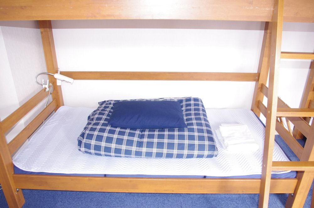 Shared Dormitory, Mixed Dorm (6 Beds)
