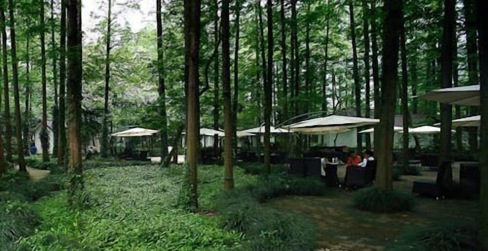 undefined Lotus Glade 52 Hotel 6