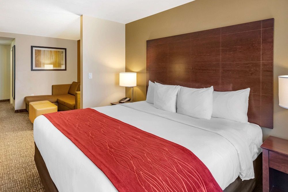 Suite, 1 King Bed with Sofa bed, Non Smoking