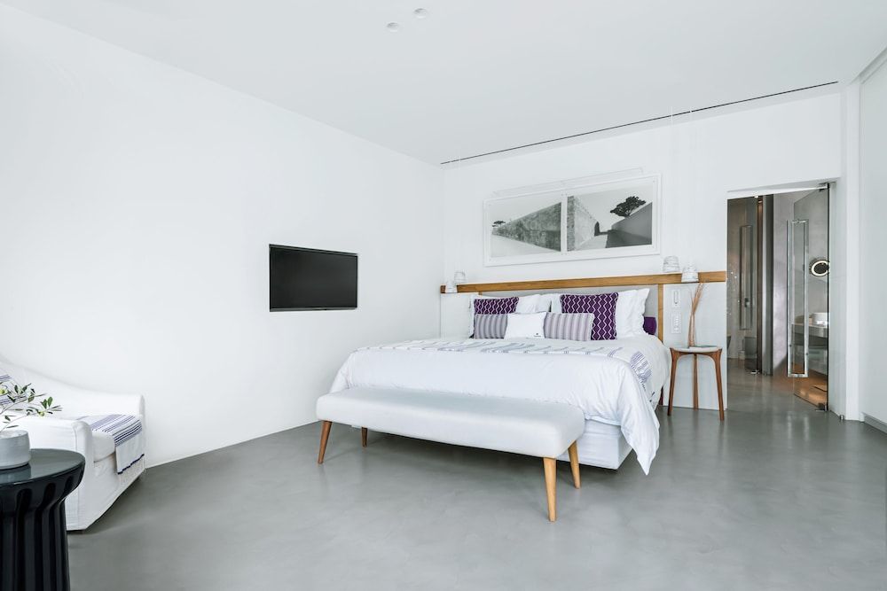 Grace Hotel, Auberge Resorts Collection Deluxe Room (with Plunge Pool) 7