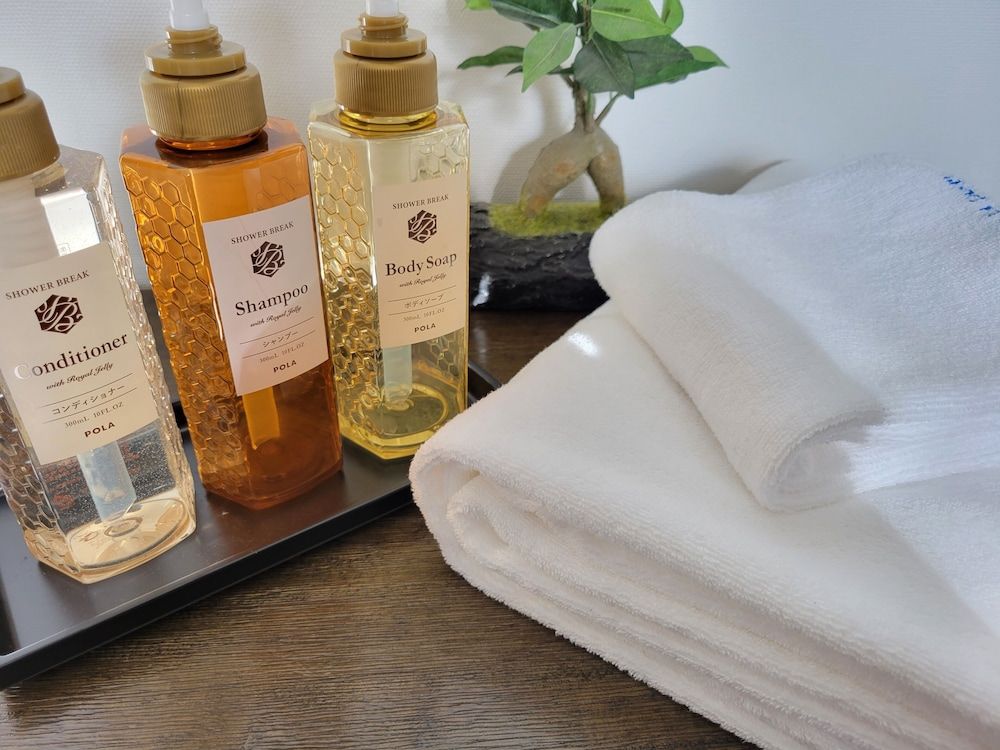 undefined Hotel Osaka Castle 7