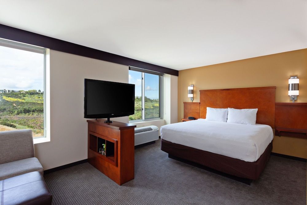 Room, 1 King Bed with Sofa bed, Accessible, Bathtub