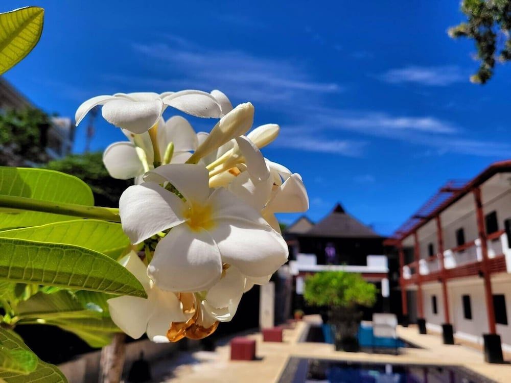 undefined Surintra Boutique Resort 4