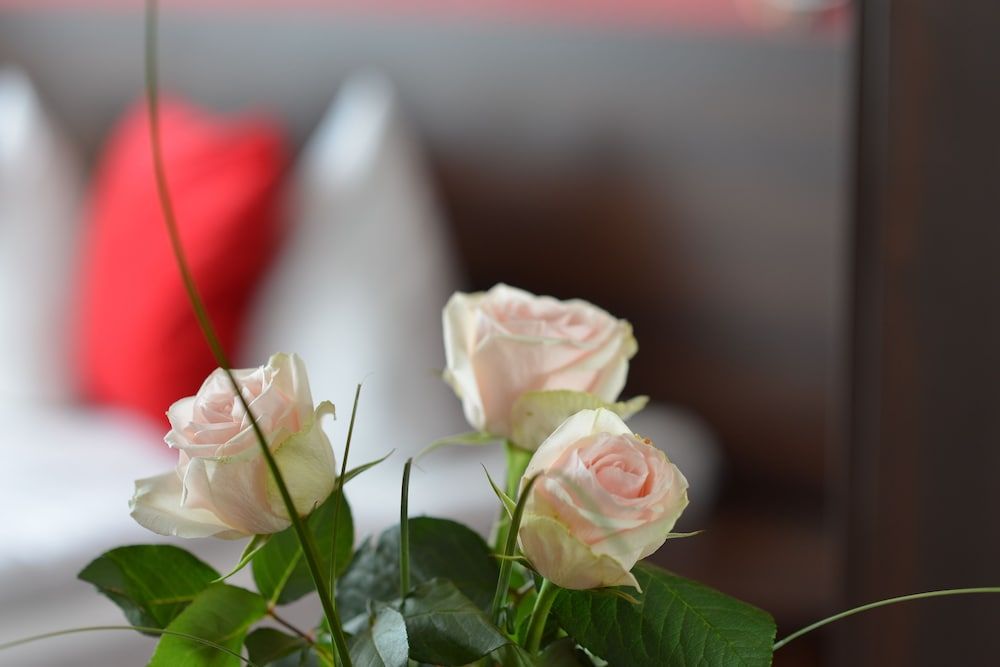 Hotel Atlas Berlin Double Room 11