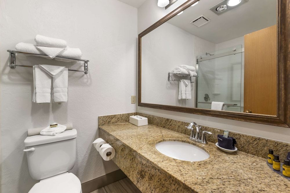 Best Western Plus Rio Grande Inn Standard Room, 1 King Bed, Non Smoking, Refrigerator & Microwave (Walk-in Shower;with Sofabed) 4