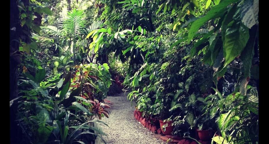 green woods bethlehem