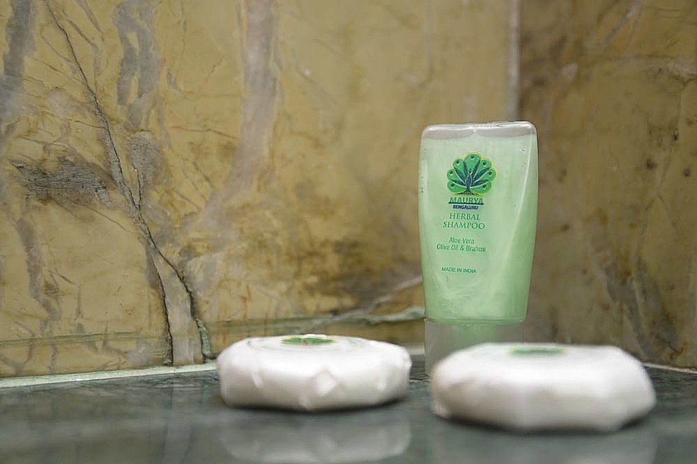 Hotel Maurya Deluxe AC Room 9