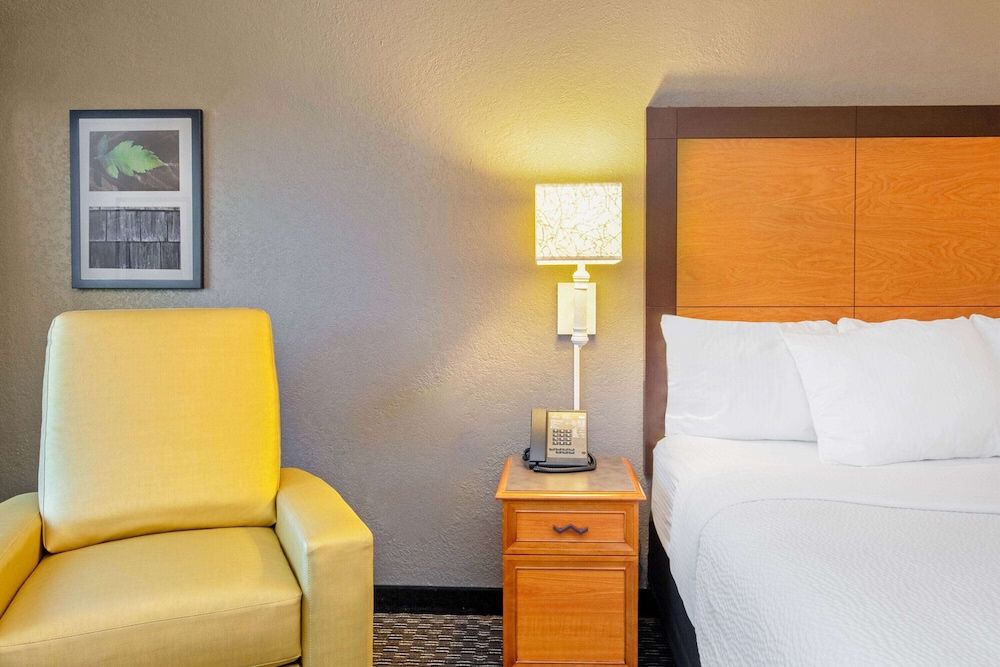 Suite, 1 King Bed