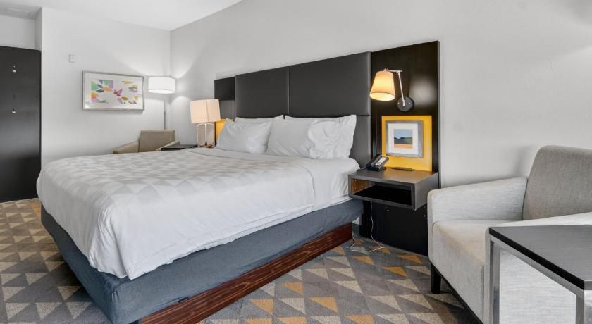 undefined Holiday Inn and Suites Dallas-Addison By IHG 6