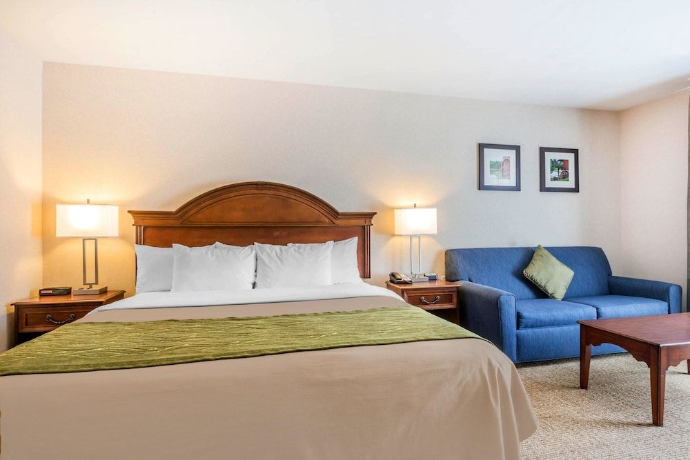 Room, 1 King Bed with Sofa bed, Non Smoking