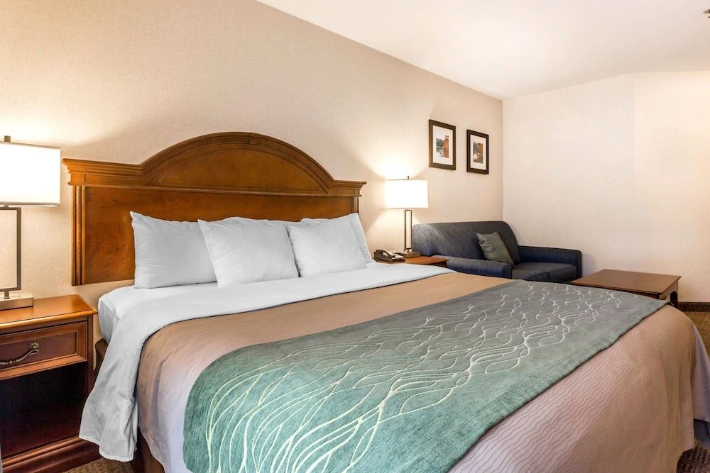 Deluxe Room, 1 King Bed with Sofa bed, Non Smoking