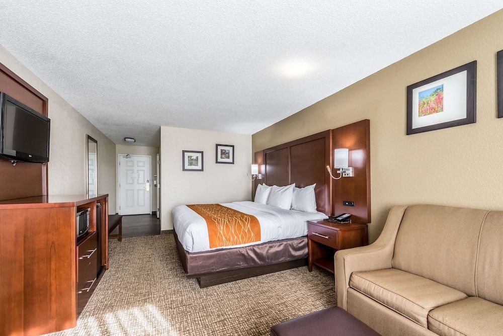 Room, 1 King Bed, Accessible, Non Smoking