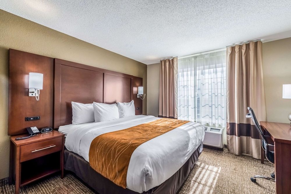 Standard Room, 1 King Bed, Non Smoking