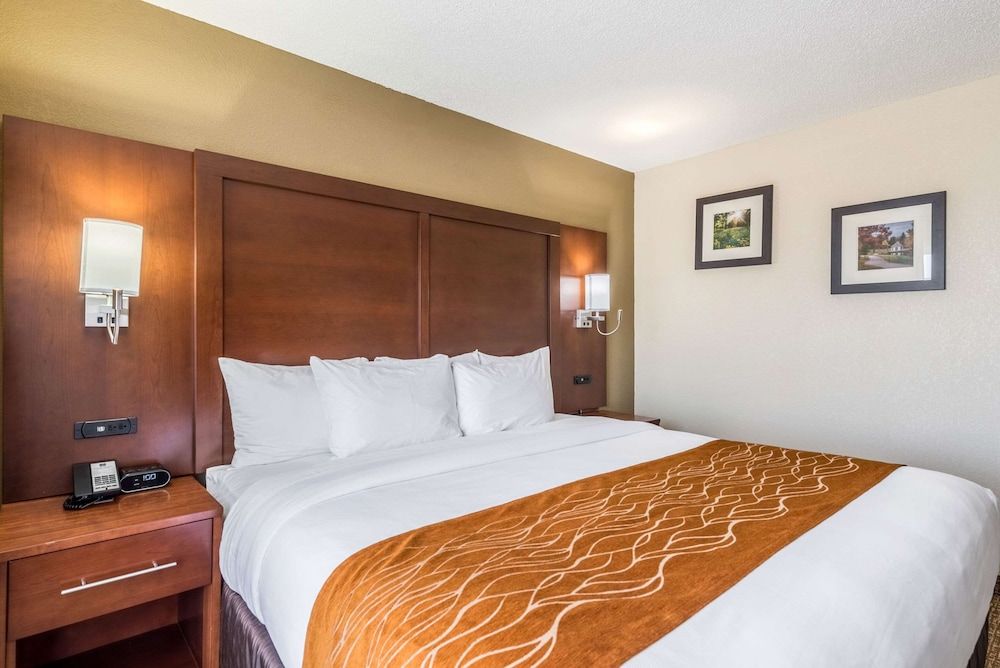 Suite, 1 King Bed with Sofa bed, Non Smoking (2 Person Sofa Bed)